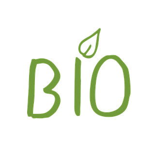 icona bio verde